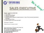 CV Payung Mas Sejahtera company logo