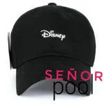 Senor Pool company logo