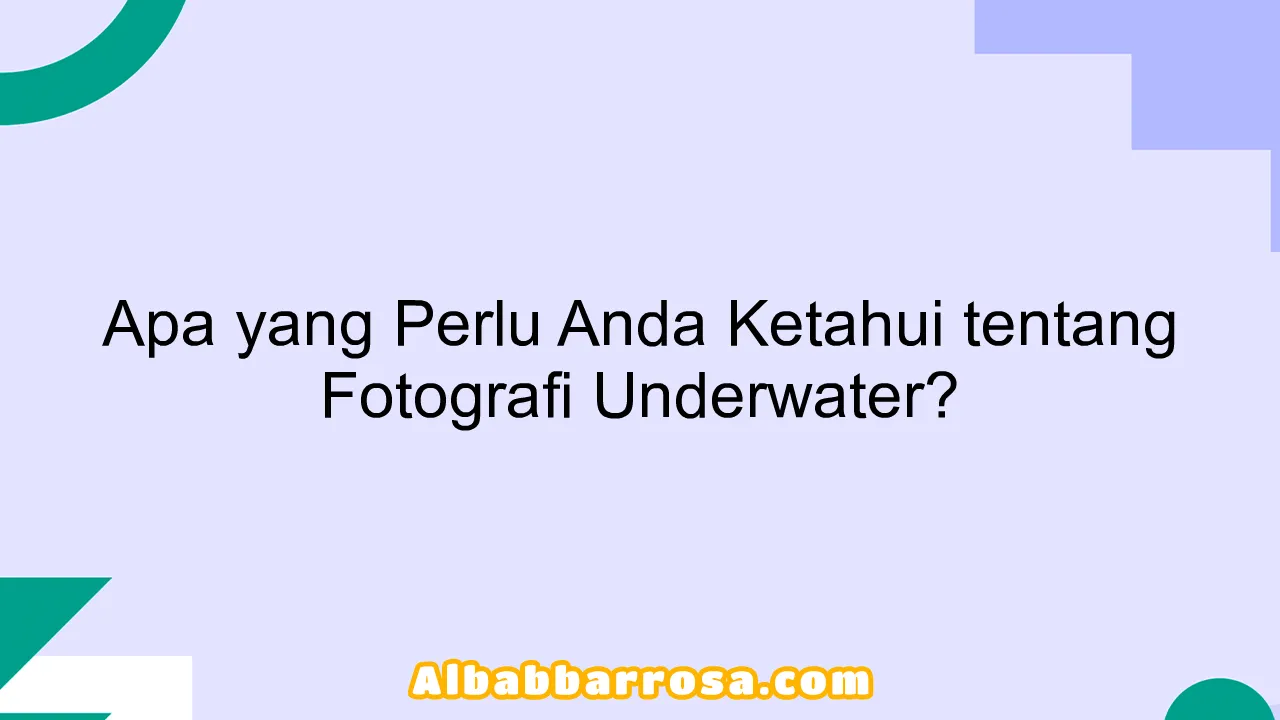 Apa yang Perlu Anda Ketahui tentang Fotografi Underwater?